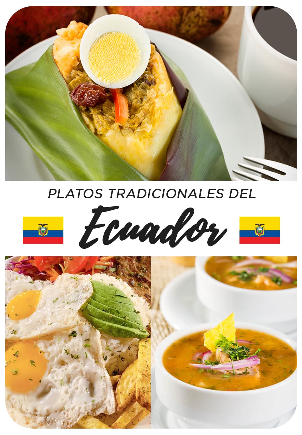 Comida ecuatoriana: platos tradicionales de las cuatro regiones - Ecuador  Hop