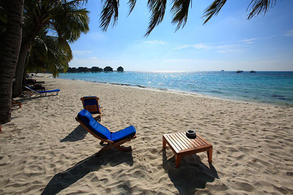 praia de mancora com palmeiras e uma cadeira