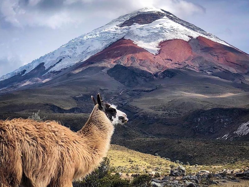 tours to cotopaxi