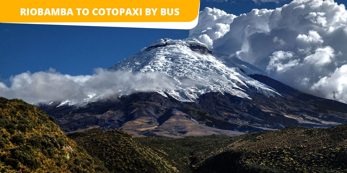 Riobamba to Cotopaxi by Bus: 2021 Updated Information - Ecuador Hop