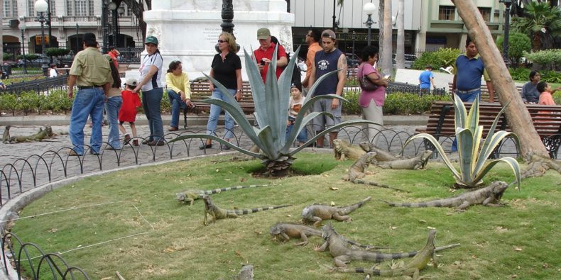 vista de las jardineras del parque centenario con iguanas - lugares turisticos de guayaquil
