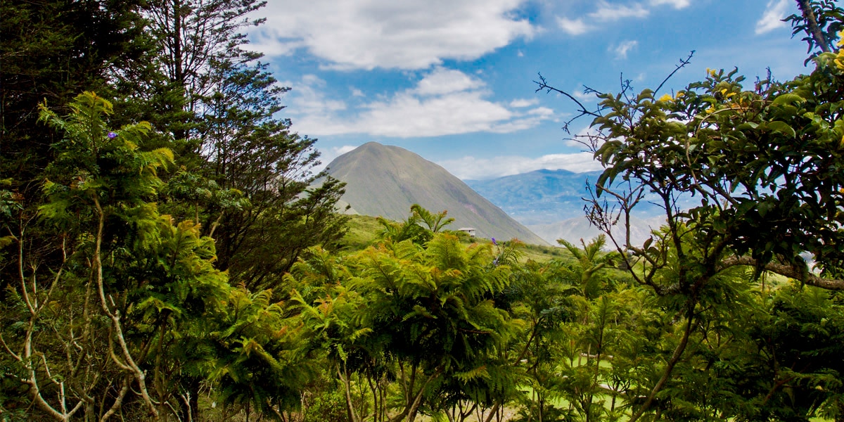 Pululahua Reserve volcano