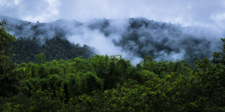 mindo cloud forest ecuador